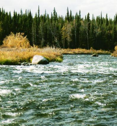 Gulkana River offer rafting fishing and kayaking