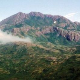 Mount Reed, on Adak Island Alaska is the only home of the Aleutian shield fern