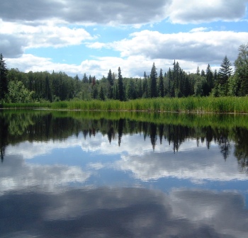 scenic porcupine river