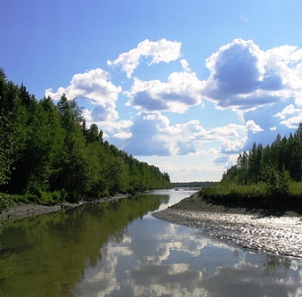 visit alaskas susitina river