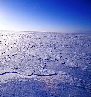 the frozen tundra of Alaska